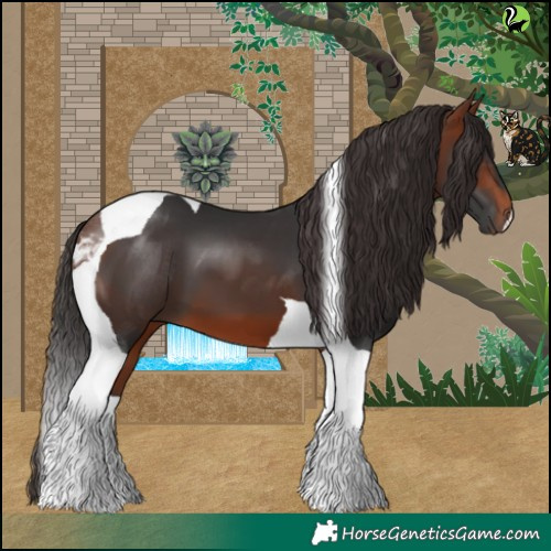 Horse Color:Bay Tobiano 