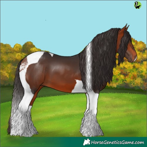 Horse Color:Bay Tobiano 