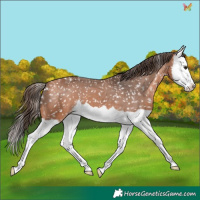 Horse Color:Bay Mushroom Splash Snowflake Varnish 