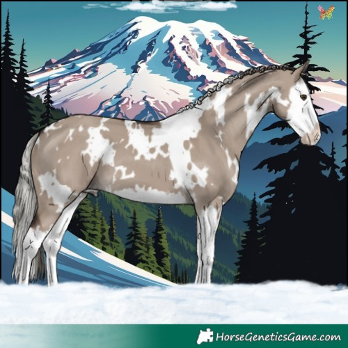 Horse Color:White Spotted Liver Red Dun Mushroom Splash 