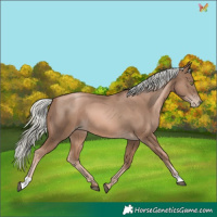 Horse Color:Liver Chestnut Pearl Mushroom 