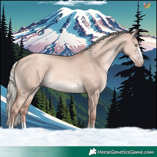 Horse Color:Gold Champagne Dun Mushroom