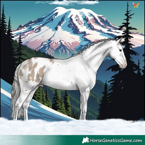 Horse Color:Liver Red Dun Mushroom Splash Varnish 