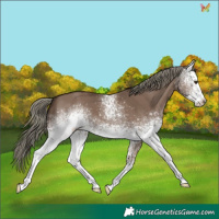 Horse Color:White Spotted Liver Red Dun Mushroom 