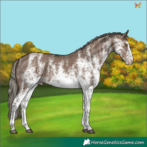 Horse Color:White Spotted Liver Red Dun Mushroom 