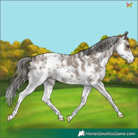 Horse Color:Liver Red Dun Mushroom Sabino