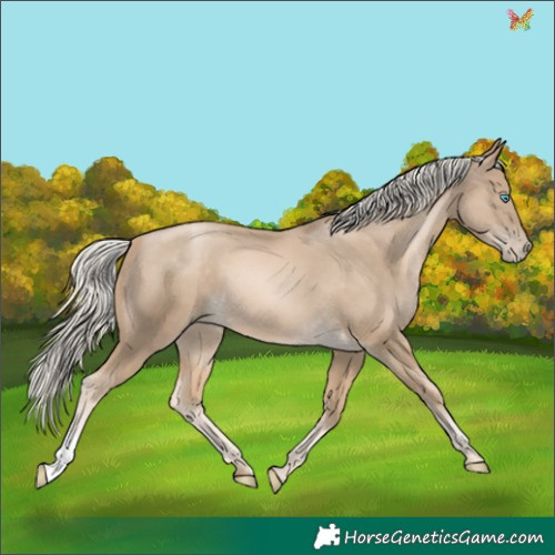 Horse Color:Chocolate Palomino Pearl Mushroom
