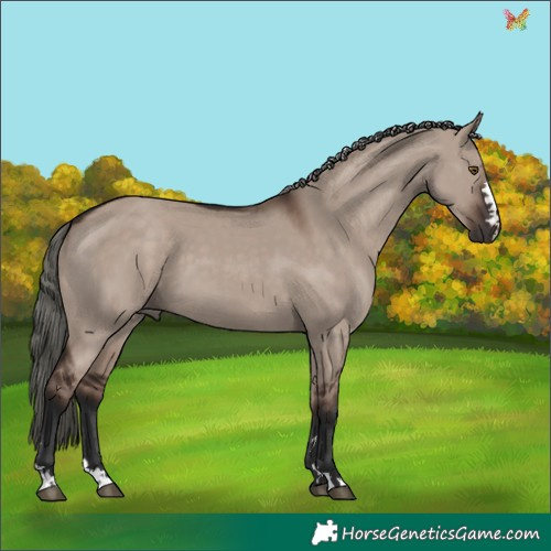 Horse Color:Liver Red Dun Mushroom 