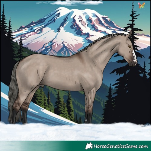 Horse Color:Liver Red Dun Mushroom 