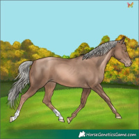 Horse Color:Liver Chestnut Pearl Mushroom