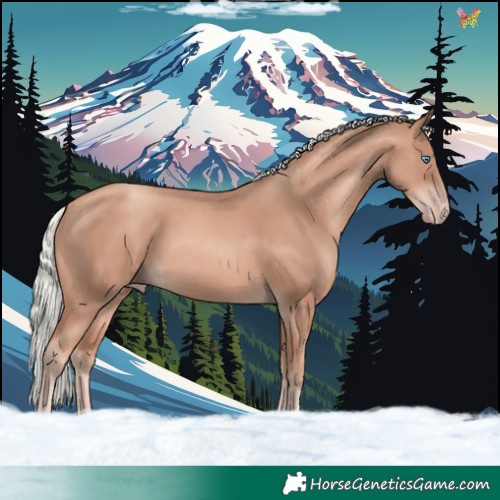 Horse Color:Gold Champagne Mushroom 
