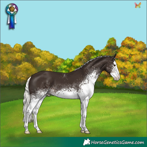 Horse Color:White Spotted Liver Chestnut Mushroom Splash 