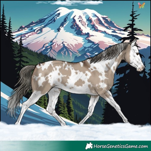 Horse Color:White Spotted Liver Red Dun Mushroom Splash 