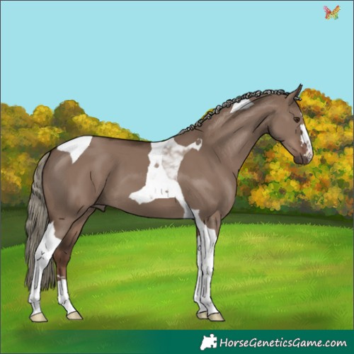 Horse Color:Liver Red Dun Mushroom Tobiano 