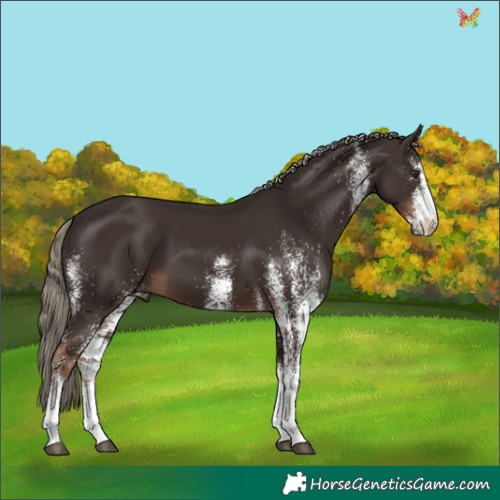 Horse Color:White Spotted Liver Chestnut Mushroom 