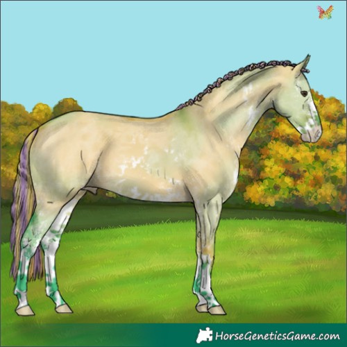 Horse Color:Painted Watercolor Liver Red Dun Sabino 