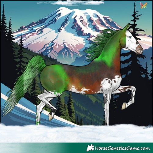 Horse Color:Brown Splash 