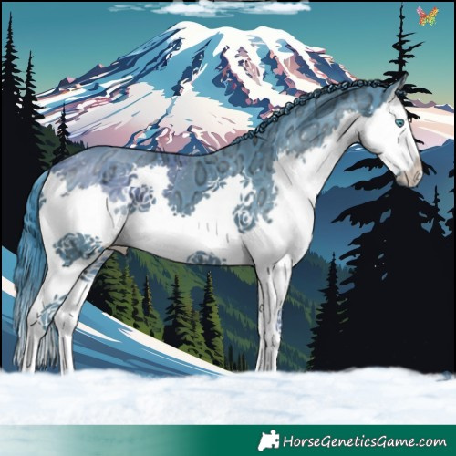 Horse Color:Watercolor Smoky Black Ice Splash 