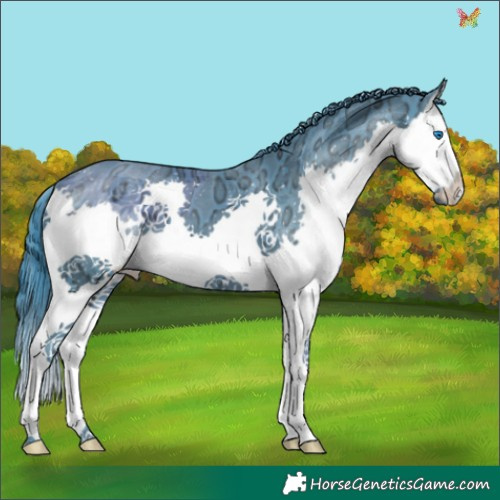 Horse Color:Watercolor Smoky Black Ice Splash 