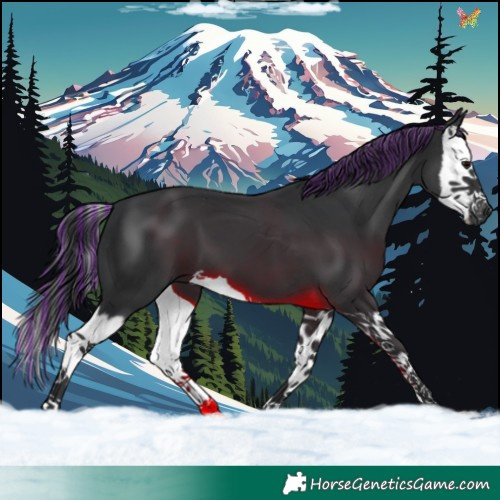 Horse Color:Painted Black Splash 