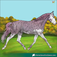 Horse Color:Watercolor Buckskin Ice Splash 