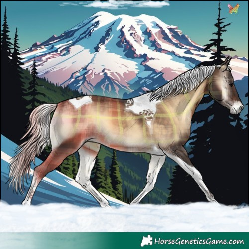 Horse Color:Plaid  Silver Brown Onyx Tobiano 