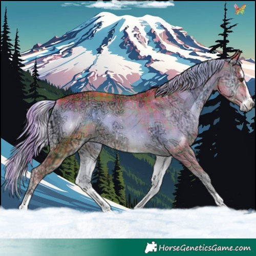 Horse Color:Watercolor Plaid  Liver Red Onyx Ice Splash 