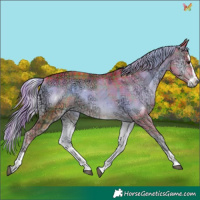Horse Color:Watercolor Plaid  Liver Red Onyx Ice Splash 
