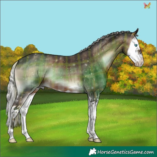 Horse Color:Plaid  Silver Brown Onyx Splash 