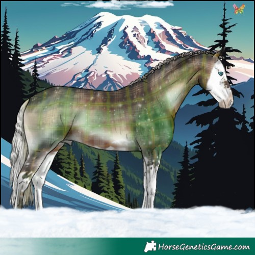 Horse Color:Plaid  Silver Brown Onyx Splash 