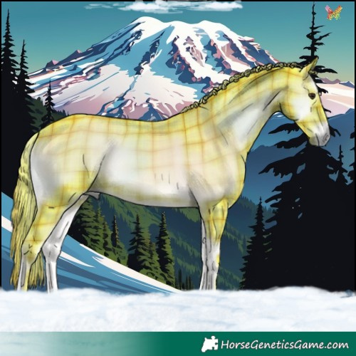 Horse Color:Watercolor Plaid  Liver Red Onyx 