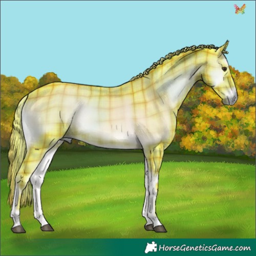 Horse Color:Watercolor Plaid  Liver Red Onyx 