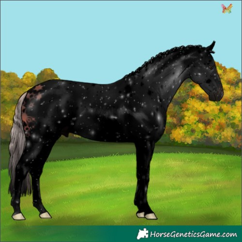 Horse Color:Void White Spotted Silver Brown Splash 