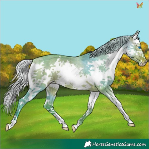 Horse Color:Watercolor Silver Bay Dun Splash 