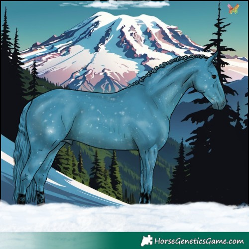 Horse Color:Void Watercolor Black 