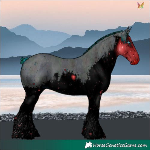 Horse Color:ERROR: UNKNOWN ANOMALY