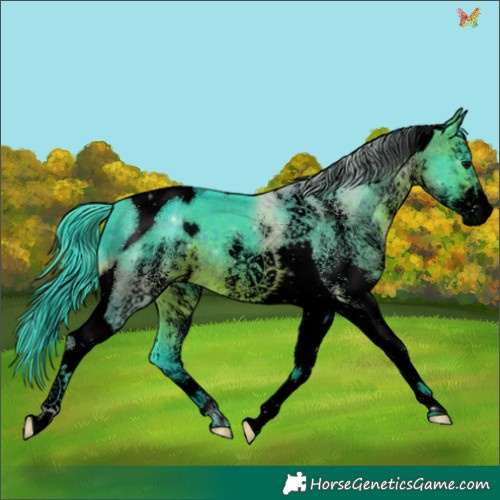 Horse Color:Void Watercolor White Spotted Brown Tobiano 