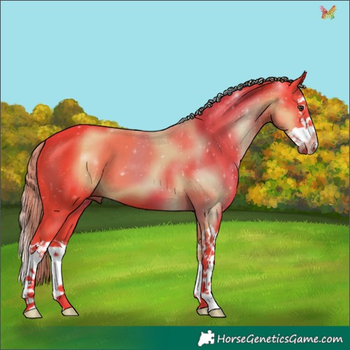 Horse Color:Watercolor Liver Chestnut Splash 