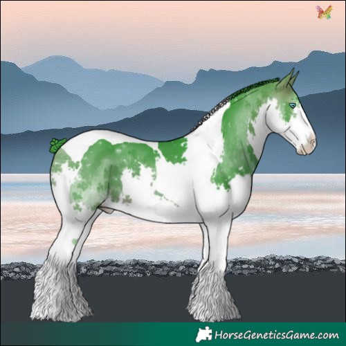 Horse Color:Watercolor Bay Splash Tobiano 