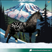 Horse Color:Void Plaid  White Spotted Sable Champagne Ice Appaloosa 