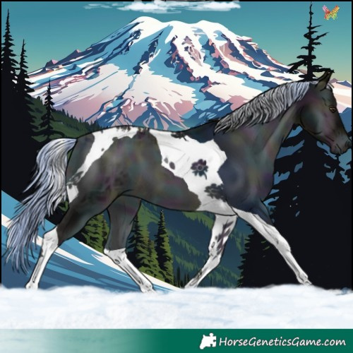 Horse Color:Platinum Midnight Liver Red Onyx Ice Tobiano 