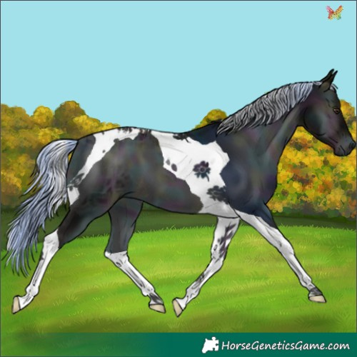 Horse Color:Platinum Midnight Liver Red Onyx Ice Tobiano