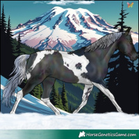 Horse Color:Platinum Midnight Liver Red Onyx Ice Tobiano