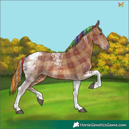 Horse Color:Painted Plaid  Chestnut Tobiano 