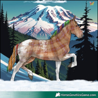 Horse Color:Painted Plaid  Chestnut Tobiano 