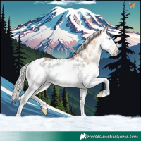 Horse Color:Plaid  White Spotted Silver Brown Ice Onyx Splash Appaloosa 