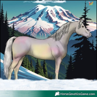 Horse Color:Watercolor Palomino Tobiano