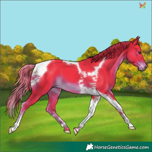 Horse Color:Watercolor Liver Chestnut Tobiano