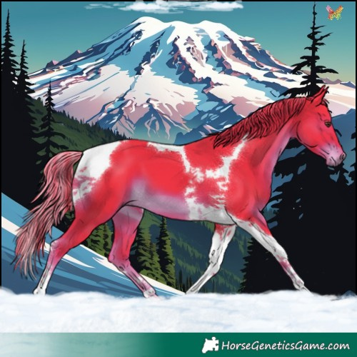 Horse Color:Watercolor Liver Chestnut Tobiano
