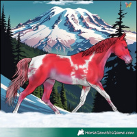 Horse Color:Watercolor Liver Chestnut Tobiano